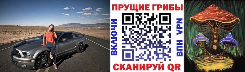 Купить где  Хилок  Псилоцибиновые грибы ЛСД 